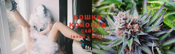 spice Богородицк