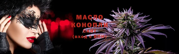 spice Богородицк