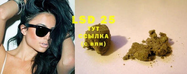 spice Богородицк