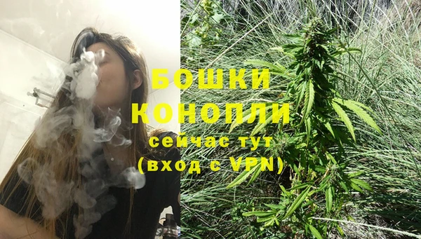 spice Богородицк