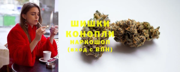 spice Богородицк