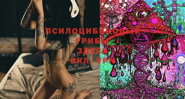 spice Богородицк