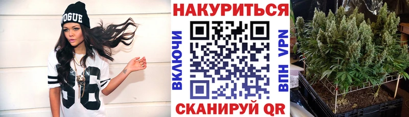 Бошки Шишки тримм  закладки  Курильск 
